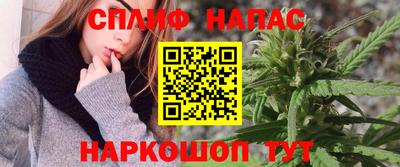 сатива Коммунар